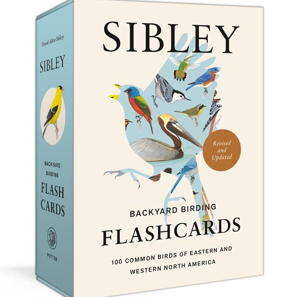 Sibley Backyard Birding Flashcards